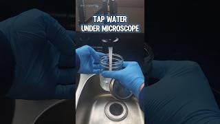 Tap Water Under A Microscope #science