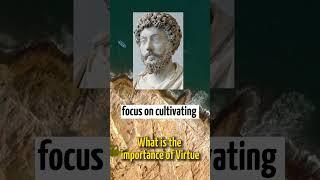 The Importance of Virtue: Lessons from Marcus Aurelius