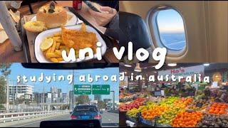 uni vlog: next chapter studying degree in Australia! fish and chips + australia vlog