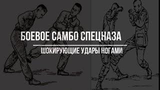 Боевое САМБО Спецназа шокирующие удары ногой под колено, в голень. Вадим Старов рукопашный бой СпН