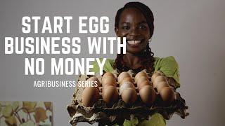 How to start egg distribution/supply business with NO MONEY ||AGRIBUSINESS SERIES