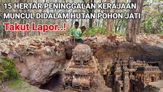 Gempar..! Ditemukan peninggalan istana kerajaan didalam hutan pohon jati