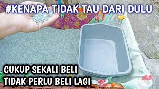 CARA HEMAT PASIR KUCING || how to save cat litter