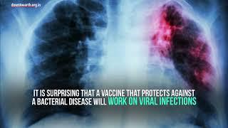 BCG vaccine used in India for tuberculosis (TB) being tested against COVID19