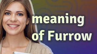 Furrow | meaning of Furrow