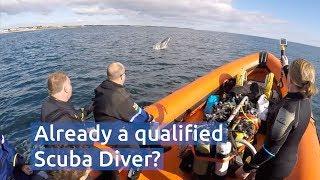 Already a qualified scuba diver? Dive with BSAC this summer