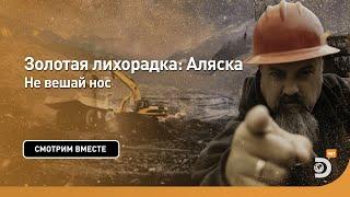 Не вешай нос | Золотая лихорадка: Аляска | Discovery