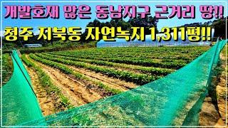 주변 개발호재 많은 동남지구 근교 자연녹지 땅!! 청주시 상당구  지북동 토지매매!!,#청주토지매매,#청주지북동토지매매