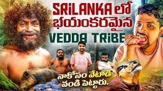 Vedda Tribes Srilanka  | శ్రీలంక అడవి వేటగాళ్లను కలిశాను | Wild Hunters | Srilanka vlogs