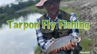 Malaysia Tarpon Fly Fishing