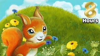 Sleep Story for Children | 8 HOURS BECOMING A SQUIRREL | Sleep Meditation for Kids