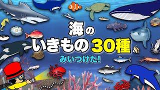 【子供が喜ぶ水族館】30種類！海の生き物 お魚さんたちが大集合！何が出てくるか当ててね！さかなの名前ずかんサメ・たこ・くじら・いるか・まぐろ未就学児向け教育｜Fish気分はスキューバダイビング