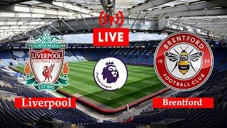 Liverpool vs Brentford Live Streaming Premier League 2022