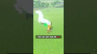 Easiest method for taming a horse!