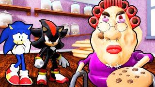 SONIC AND SHADOW VS ESCAPE EVIL GRANDMA IN ROBLOX