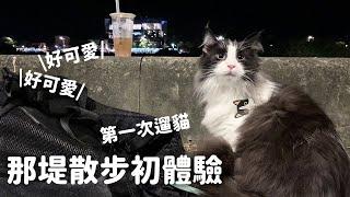 河堤出現遛貓怪客？那堤散步初體驗 第一次遛貓 Vlog EP19