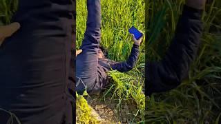 Murshid Kahan Gaya #shorts #funny