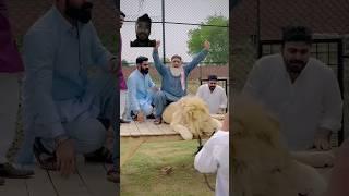 Baba g #lion #funny lion ny baba g pr attack kr dia  #animals #funny #tigerfight