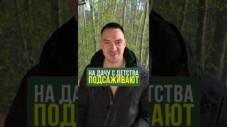 Эволюция человека на загородном участке в этом анекдоте. Запомни и насмеши соседа #НашаДача