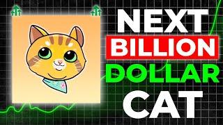 THIS COULD BE THE NEXT BILLION DOLLAR CAT COIN ON SOLANA! PAY ATTENTION!