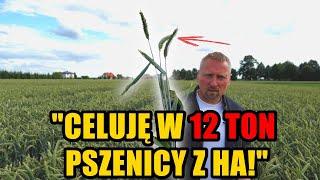 "Obornik, poplony i zadrzewienia śródpolne dają mi wysokie plony!" Jakie będą żniwa w Wielkopolsce?