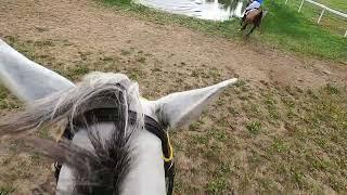 France Sire Poneys Cross Challenge #8: en selle avec Charles Clayeux à Pompadour