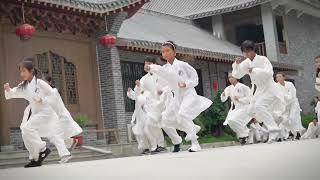 Wushu performance by student