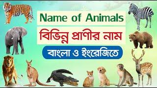 বিভিন্ন প্রাণীর নাম | Animals Name in Bengali to English | ৫৫টি পশু-প্রাণীর নাম | 55 Animals Name