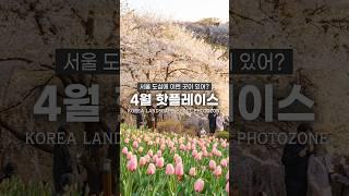 여기는 진짜 대박입니다. 4월에 꼭 다녀오세요