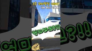 노다지땅 꼬마빌딩 얼마라고?!! #상가매매 #꼬마빌딩 #상가투자