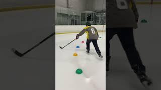 Hockey Stickhandling Skills Practice