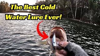 This Is The Best Cold Water Bait I’ve Used! You Need It!