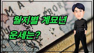 월지로 본 계묘년 운세