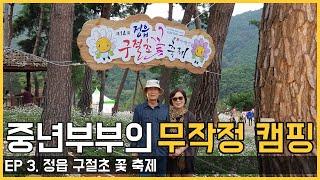 정읍구절초 축제 캠핑카 여행  |  세리정 I 힐링여행