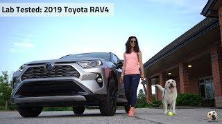 2019 Toyota RAV4 XSE Hybrid: Andie the Lab Review!