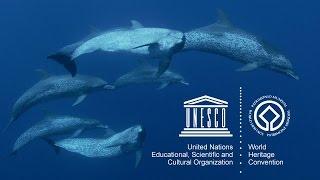UNESCO’s Marine World Heritage