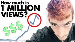 HOW MUCH MONEY I MADE FROM 1 MILLION VIEWS