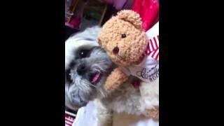 หมีของนู๋