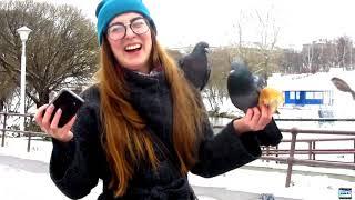 Люсьен и птицы