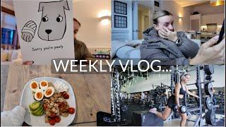 SPEND A FEW DAYS WITH ME | TRAINING & FOOD SHOPS, ADDRESSING COMMENTS | ZOE RAE