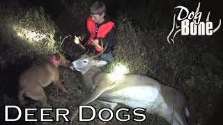 Deer Tracking Dogs: Dogs That Find Wounded Deer