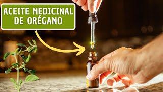 Como Hacer Aceite Medicinal De ORÉGANO En Casa / Grandes Beneficios