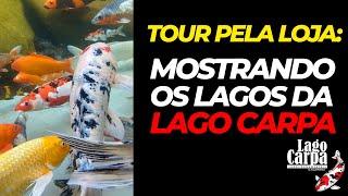 TOUR: Mostrando todos os lagos da loja da Lago Carpa