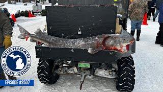 Sturgeon Spearing, Steelhead Fishing, Bragging Board; Michigan Out of Doors TV #2507