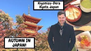 Autumn colors in KYOTO, JAPAN | Kyoto Travel Guide