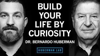 Dr. Bernardo Huberman: How to Use Curiosity & Focus to Create a Joyful & Meaningful Life