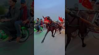 Tanga race in Pakistan #shortvideo #apnatangaracer #all #horselover