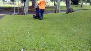 scag Giant vac  picking up leaves