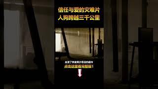 信任与爱的末日灾难片，横跨3000公里终于找到新家园！1 #movie #電影 #film #电影解说 #科幻電影#shorts