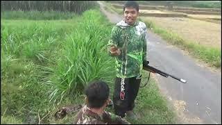 Trick merayap poin burung puyuh @Vindy88sniperndeso123